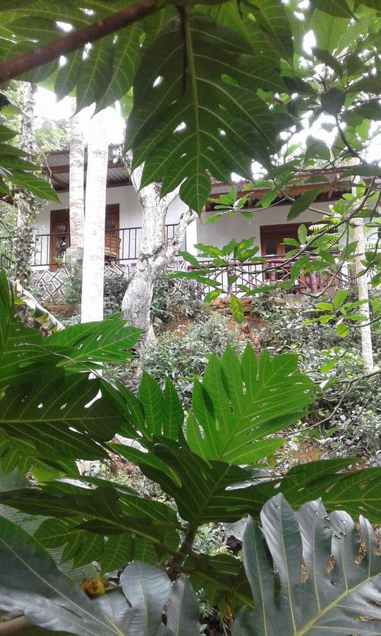 Hotel Mountain Nest Ella Esterno foto